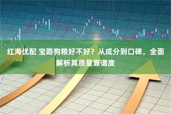 红海优配 宝路狗粮好不好？从成分到口碑，全面解析其质量靠谱度
